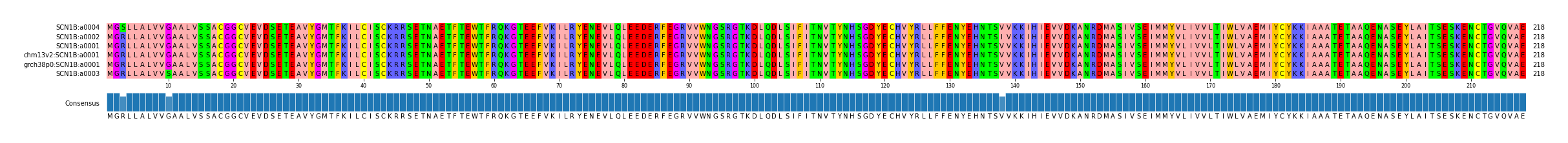 Multiple Alignments (by translate haplotype similarity)