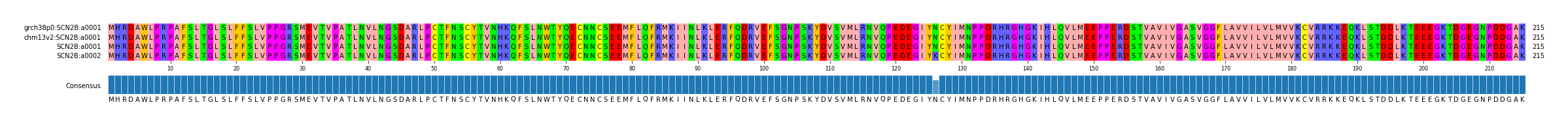 Multiple Alignments (by translate haplotype similarity)