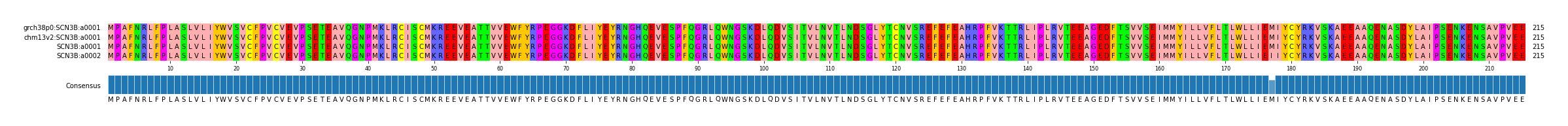 Multiple Alignments (by translate haplotype similarity)