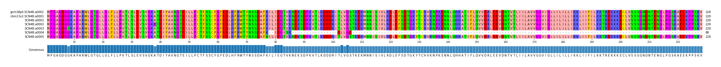 Multiple Alignments (by translate haplotype frequency)