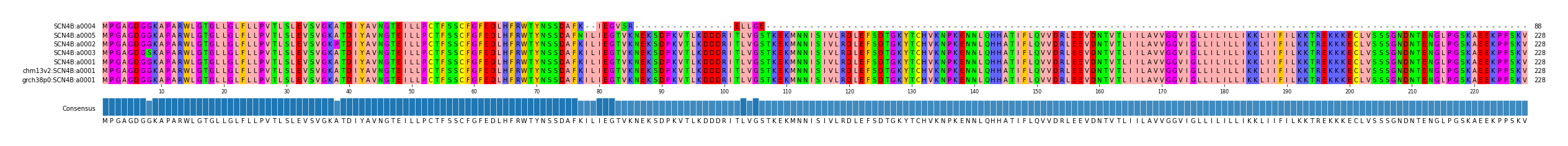 Multiple Alignments (by translate haplotype similarity)