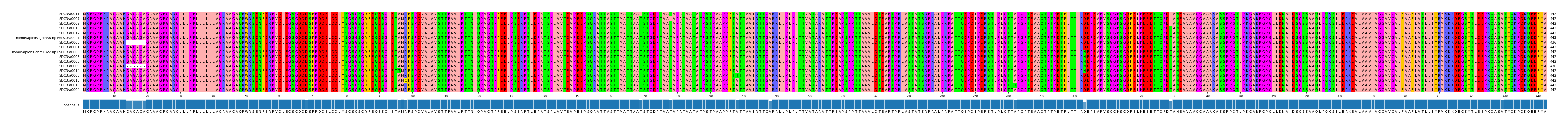 Multiple Alignments (by translate haplotype similarity)