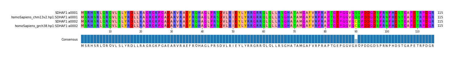 Multiple Alignments (by translate haplotype similarity)