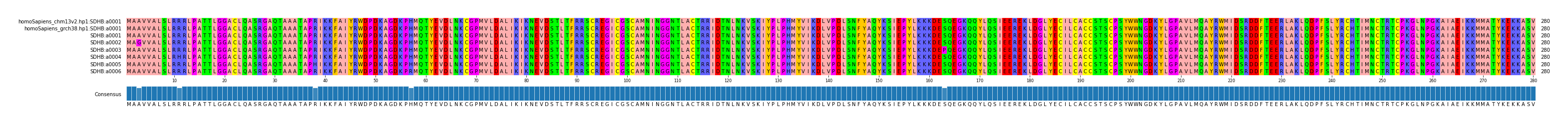Multiple Alignments (by translate haplotype frequency)
