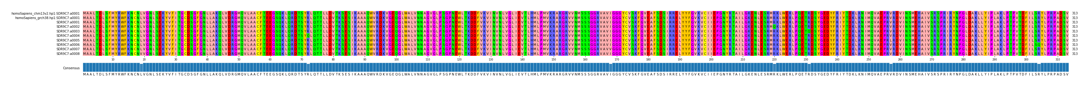 Multiple Alignments (by translate haplotype frequency)