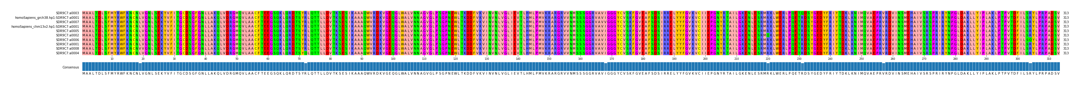 Multiple Alignments (by translate haplotype similarity)