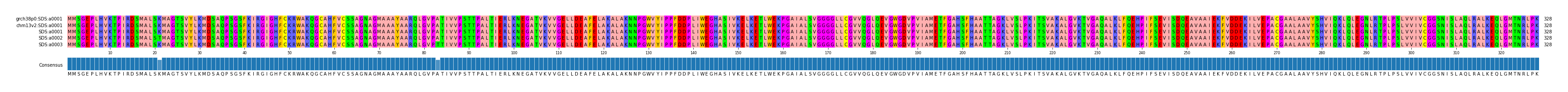 Multiple Alignments (by translate haplotype frequency)