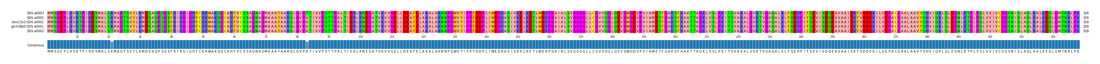 Multiple Alignments (by translate haplotype similarity)