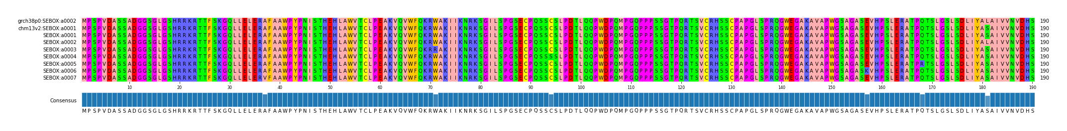 Multiple Alignments (by translate haplotype frequency)