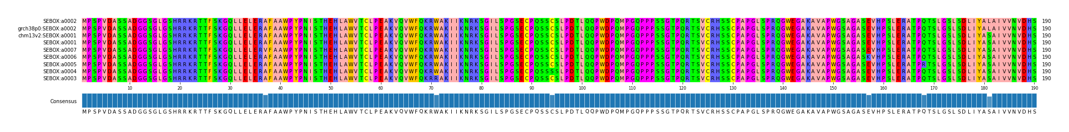 Multiple Alignments (by translate haplotype similarity)