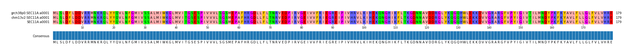 Multiple Alignments (by translate haplotype similarity)