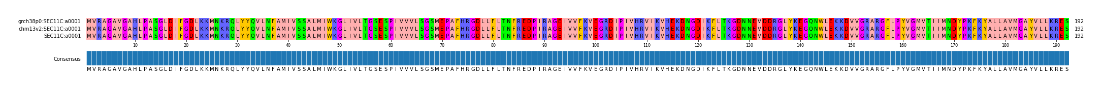 Multiple Alignments (by translate haplotype similarity)