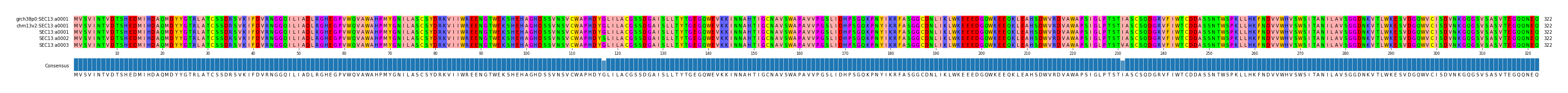 Multiple Alignments (by translate haplotype frequency)