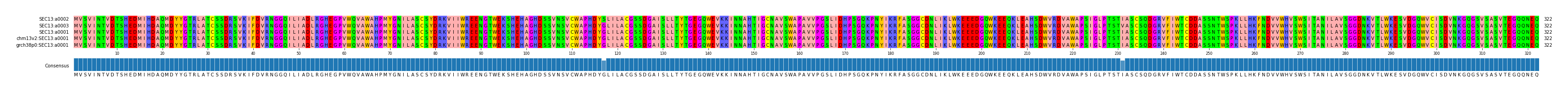 Multiple Alignments (by translate haplotype similarity)