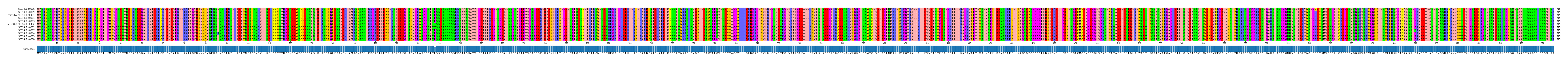 Multiple Alignments (by translate haplotype similarity)