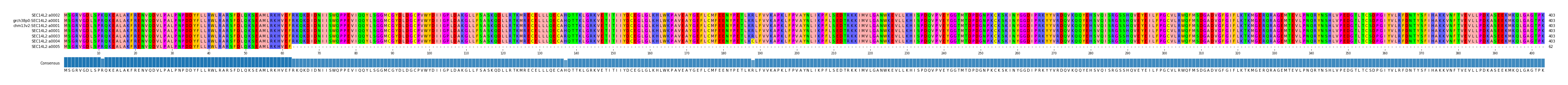 Multiple Alignments (by translate haplotype similarity)