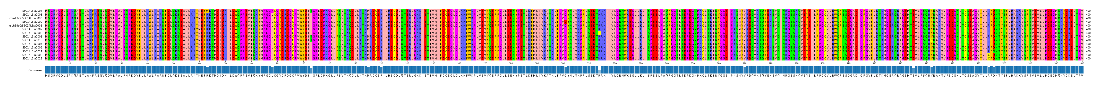 Multiple Alignments (by translate haplotype similarity)