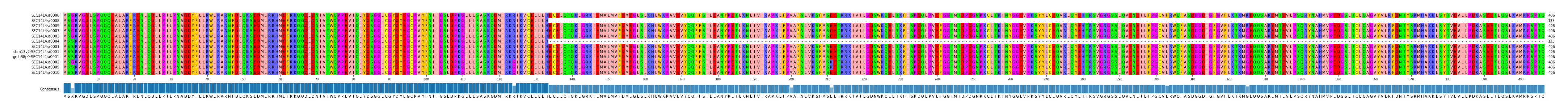 Multiple Alignments (by translate haplotype similarity)
