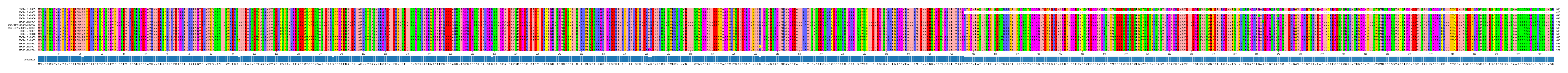 Multiple Alignments (by translate haplotype similarity)