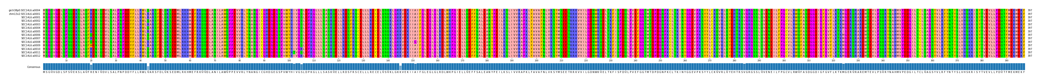 Multiple Alignments (by translate haplotype frequency)