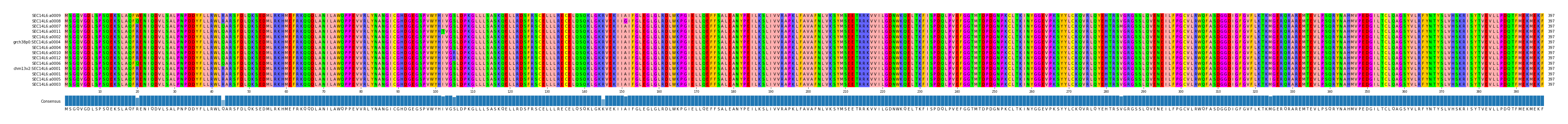 Multiple Alignments (by translate haplotype similarity)