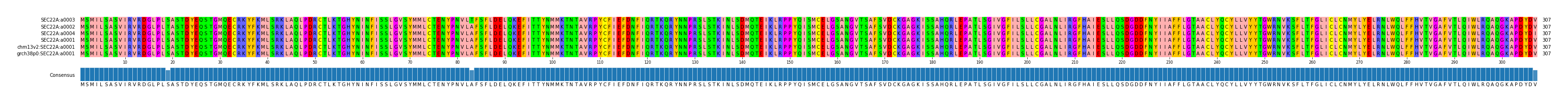 Multiple Alignments (by translate haplotype similarity)