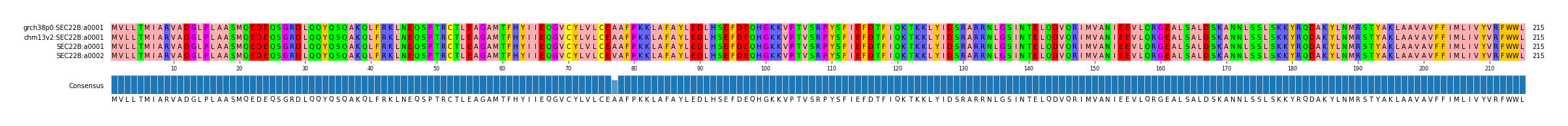 Multiple Alignments (by translate haplotype similarity)