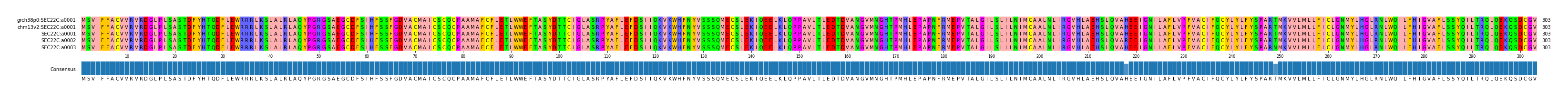 Multiple Alignments (by translate haplotype frequency)