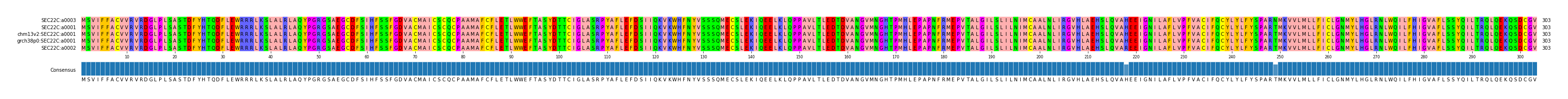 Multiple Alignments (by translate haplotype similarity)