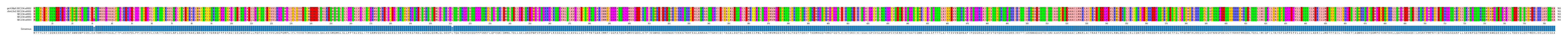 Multiple Alignments (by translate haplotype frequency)