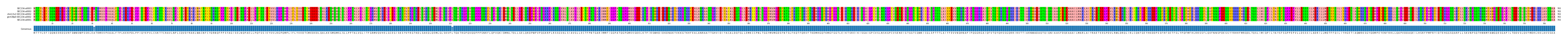 Multiple Alignments (by translate haplotype similarity)