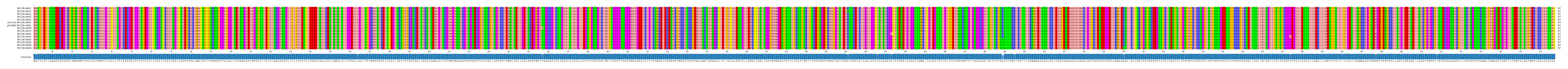 Multiple Alignments (by translate haplotype similarity)