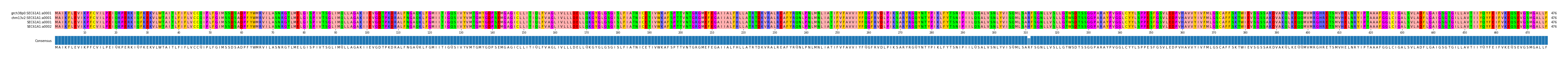 Multiple Alignments (by translate haplotype similarity)