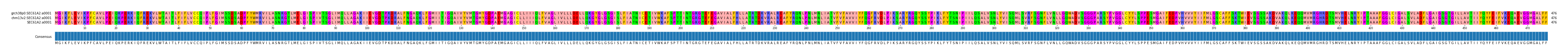 Multiple Alignments (by translate haplotype similarity)