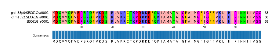 Multiple Alignments (by translate haplotype similarity)