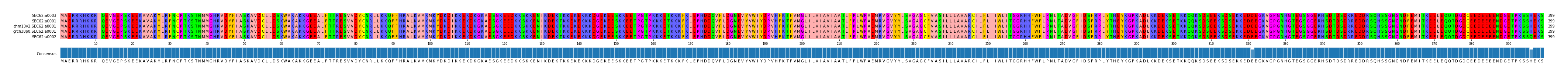 Multiple Alignments (by translate haplotype similarity)