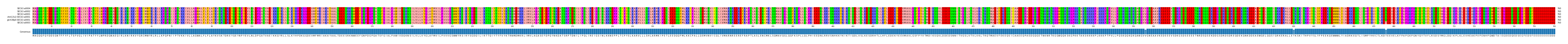 Multiple Alignments (by translate haplotype similarity)