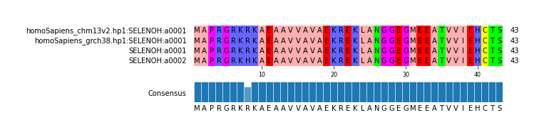 Multiple Alignments (by translate haplotype similarity)