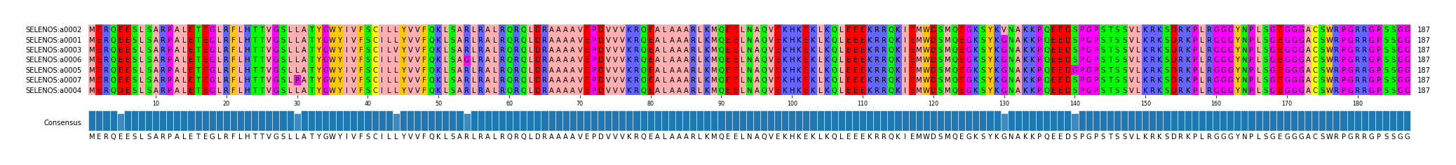 Multiple Alignments (by translate haplotype similarity)