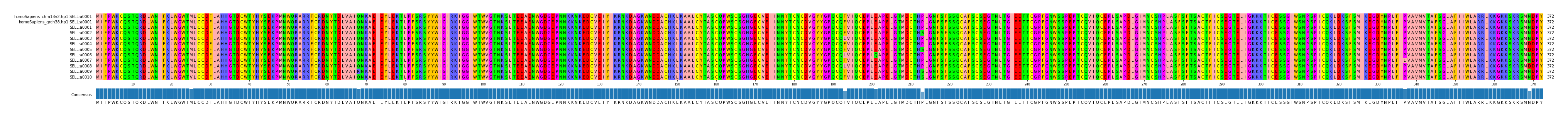 Multiple Alignments (by translate haplotype frequency)
