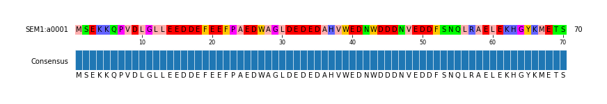 Multiple Alignments (by translate haplotype frequency)