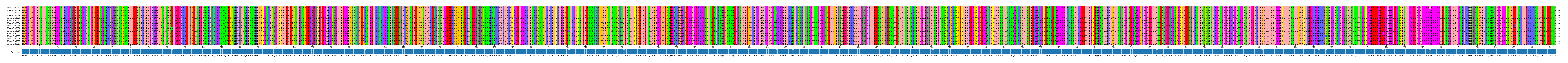 Multiple Alignments (by translate haplotype similarity)