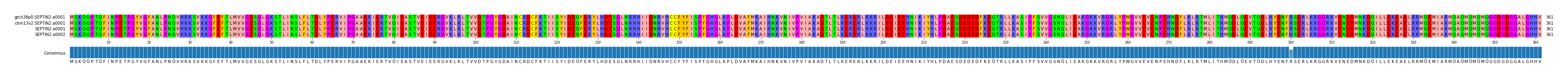 Multiple Alignments (by translate haplotype similarity)