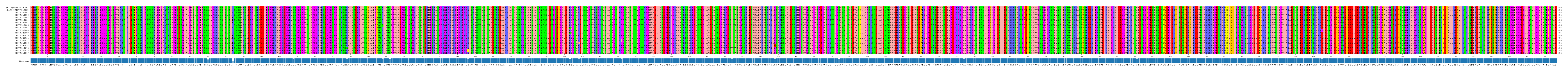 Multiple Alignments (by translate haplotype frequency)