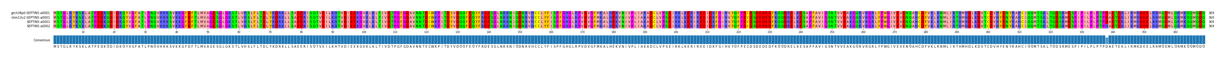 Multiple Alignments (by translate haplotype frequency)