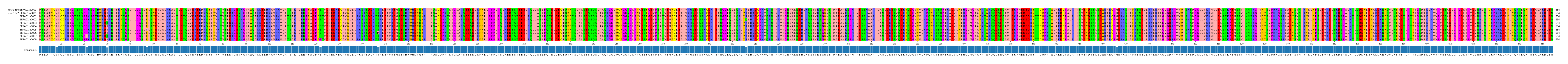 Multiple Alignments (by translate haplotype frequency)