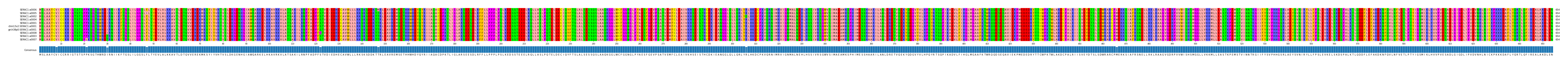 Multiple Alignments (by translate haplotype similarity)