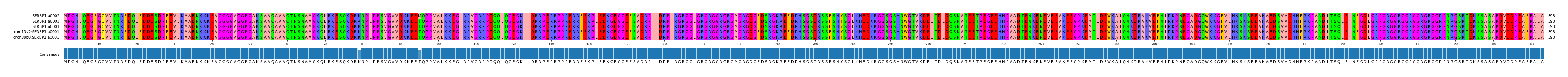 Multiple Alignments (by translate haplotype similarity)