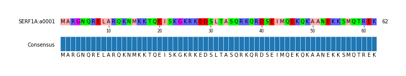 Multiple Alignments (by translate haplotype similarity)