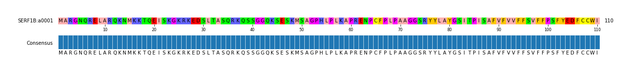 Multiple Alignments (by translate haplotype similarity)